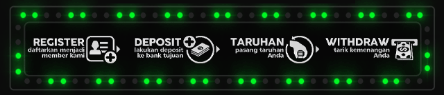 TOYO404